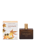 Parfum Ambraliquida - Ambre