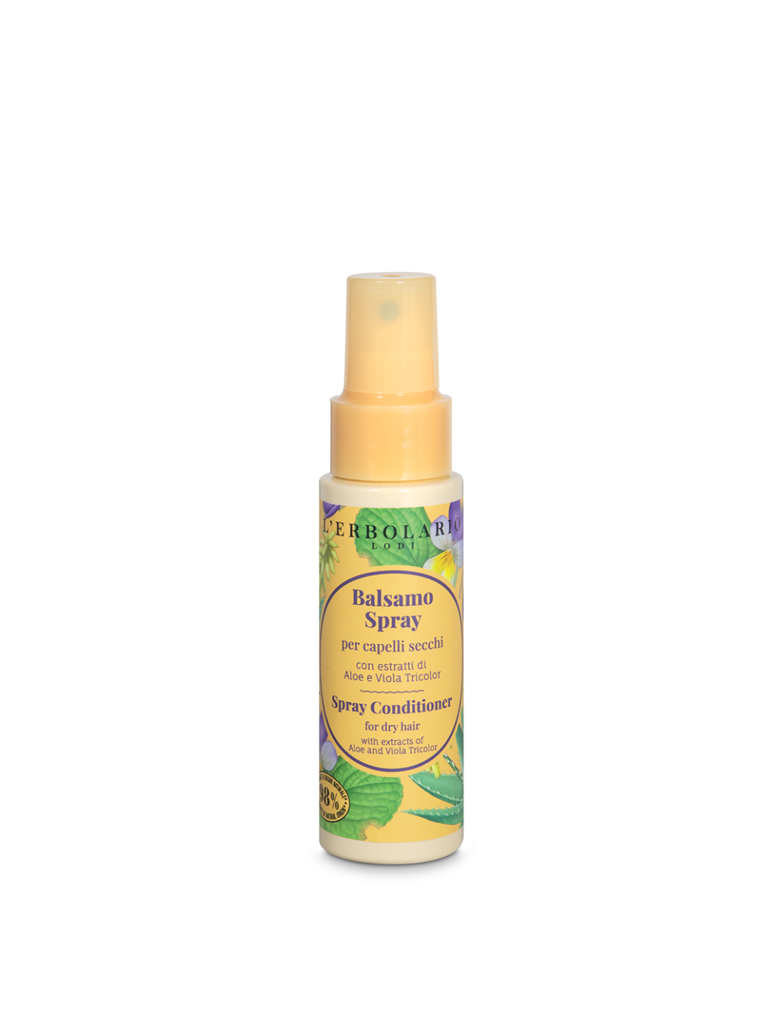 Après-shampoing en spray pour cheveux secs